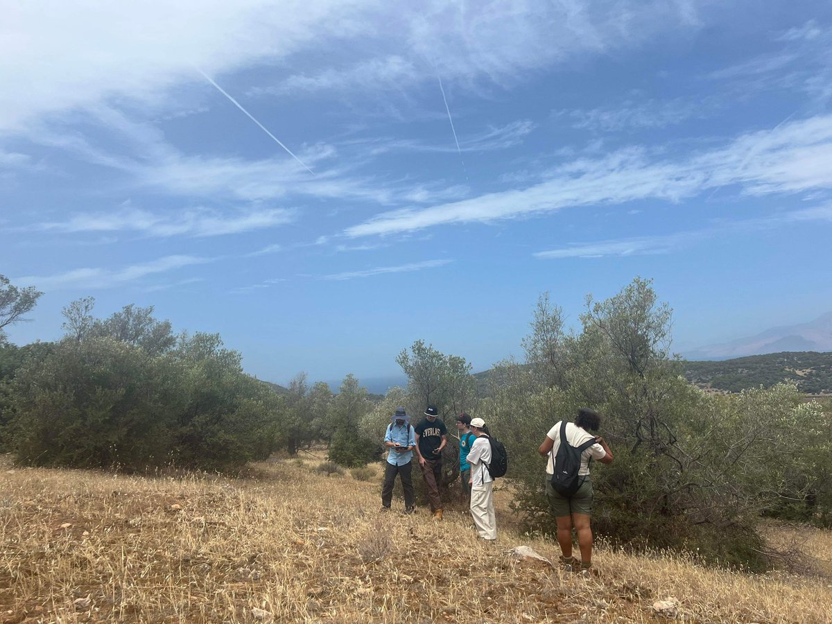 npkaza's tweet photo. I recently had the privilege to rejoin the Perachora Peninsula Archaeological Project for the 2024 season, this time as a team leader. It was an amazing experience filled with opportunities to grow as an archaeologist, and as a person @SusanLupack @mq_dha @AAIASydney @mq_arts https://t.co/t2gHz5zM61