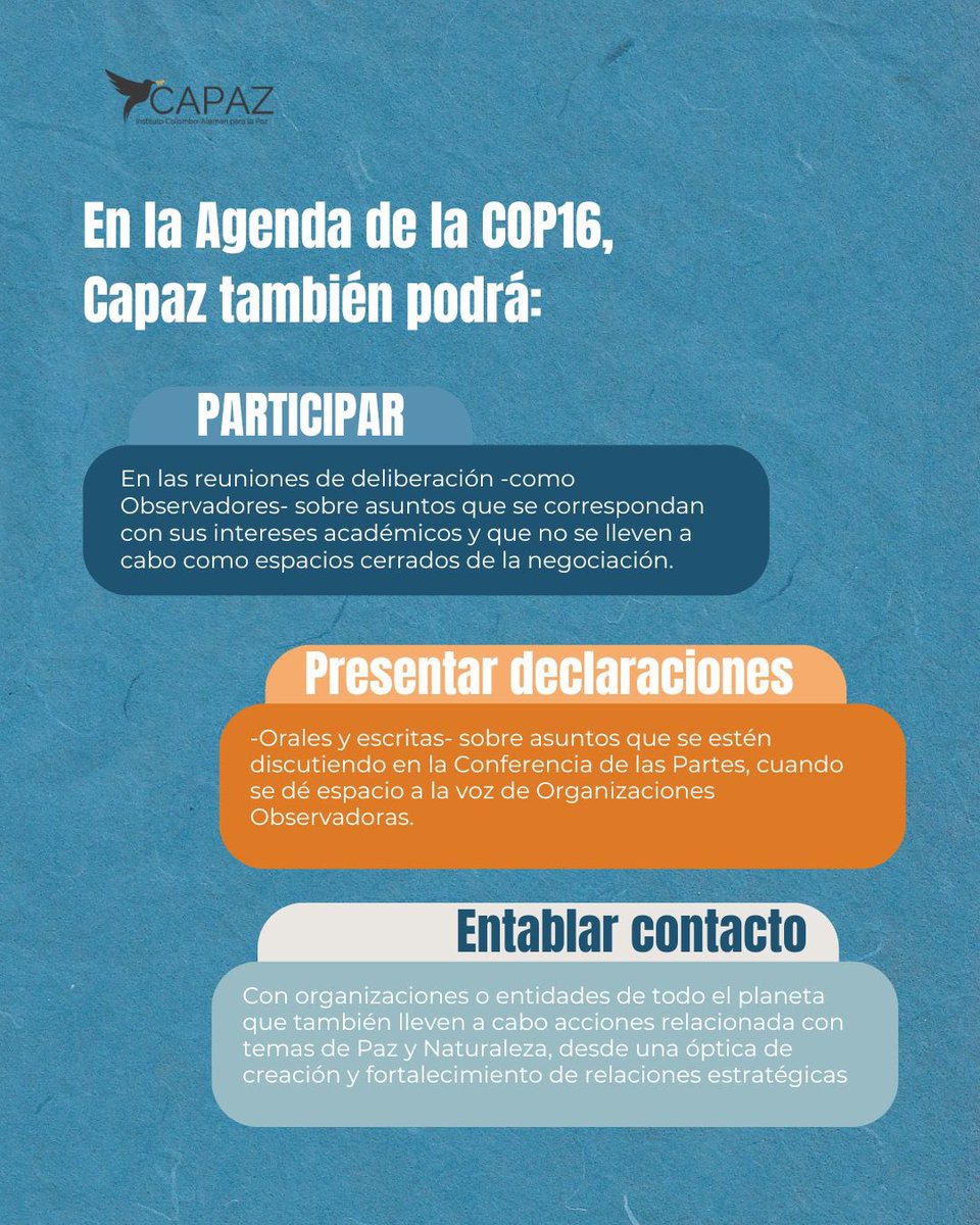 Instituto CAPAZ tweet media