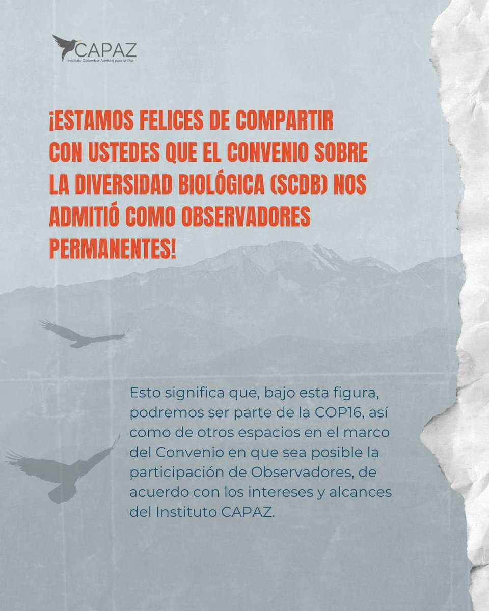 Instituto CAPAZ tweet media