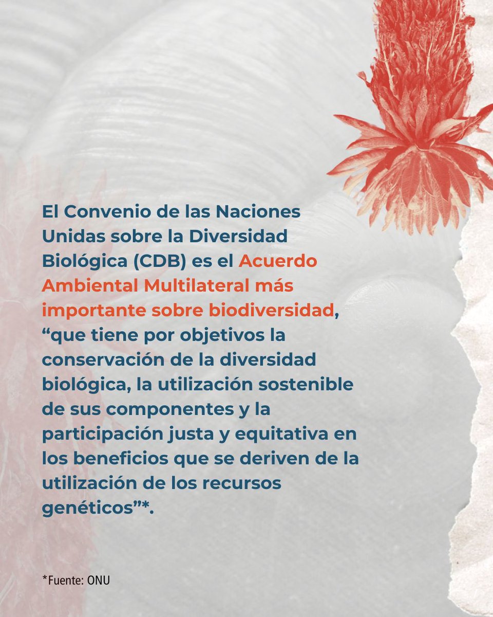 Instituto CAPAZ tweet media