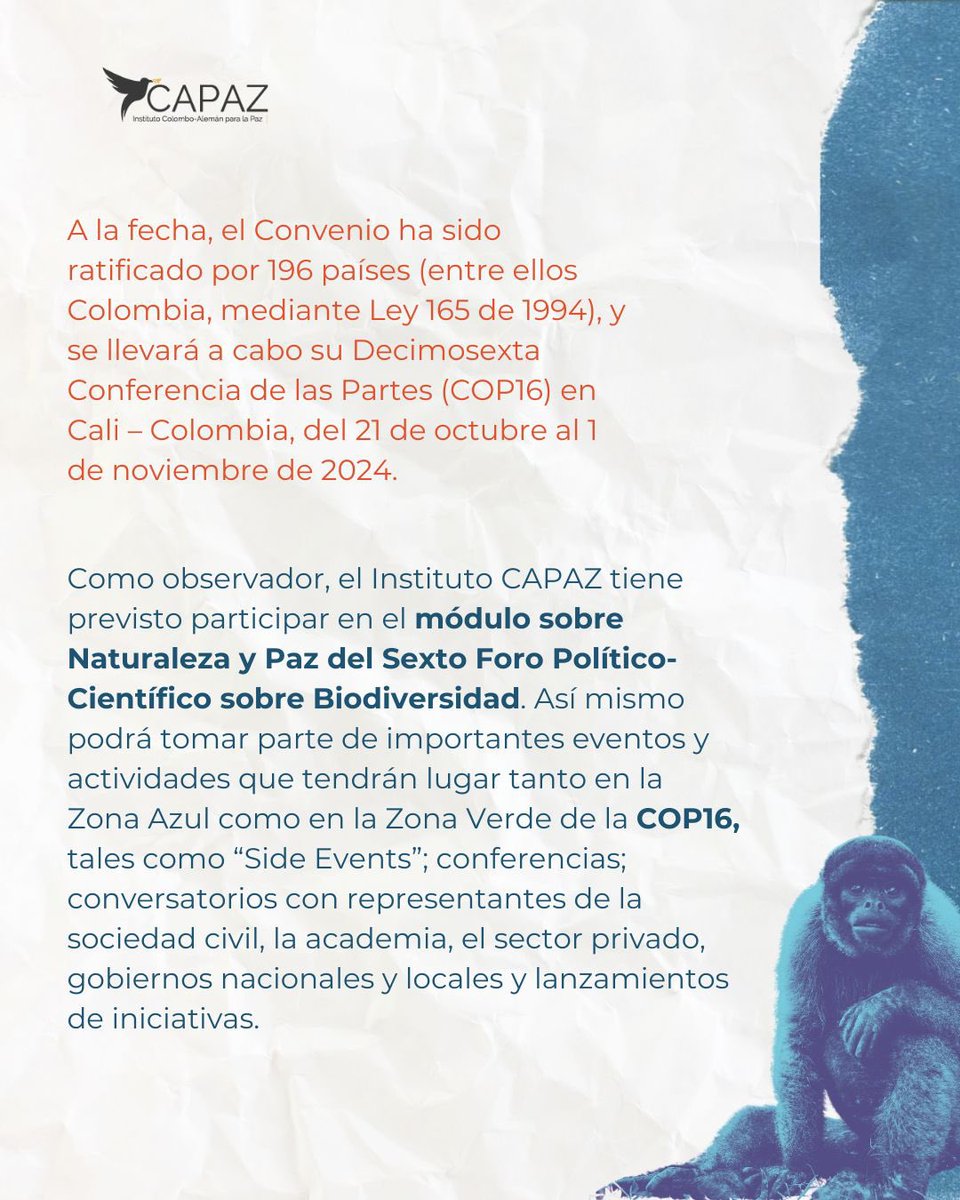 Instituto CAPAZ tweet media