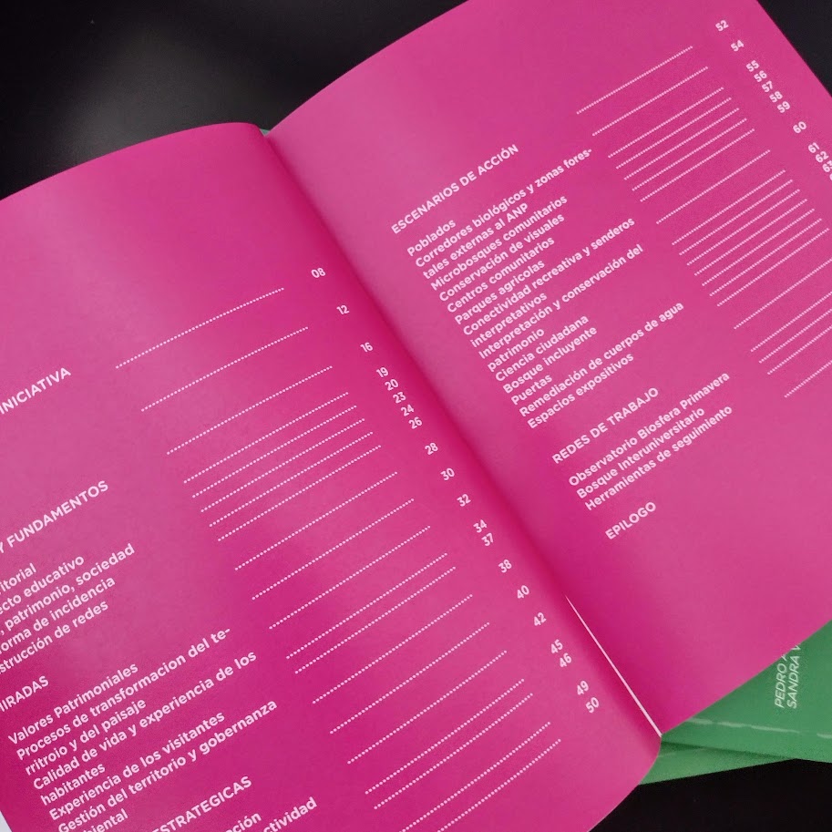 AnilloPrimavera's tweet photo. Con mucho entusiasmo les compartimos que recientemente hemos editado un libro que rescata nuestro trabajo a lo largo de 13 años!  En él, describimos nuestros principios y fundamentos, miradas, líneas estratégicas, escenarios de intervención y redes de trabajo 🧵 https://t.co/u6aIkugVBW