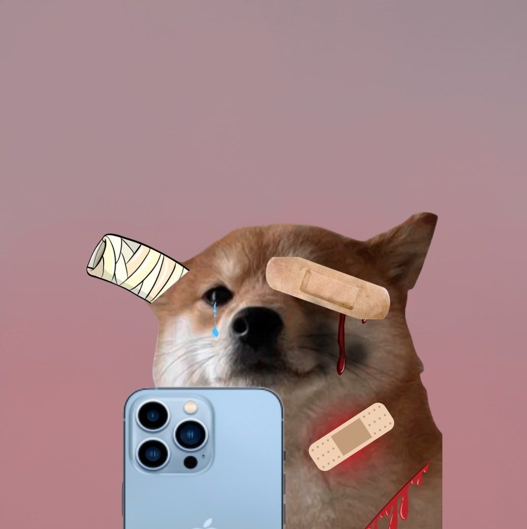 Harsh151815's tweet photo. @MrYe3000 @Poe_Ether $Selfie https://t.co/xY36ZX0wwT
