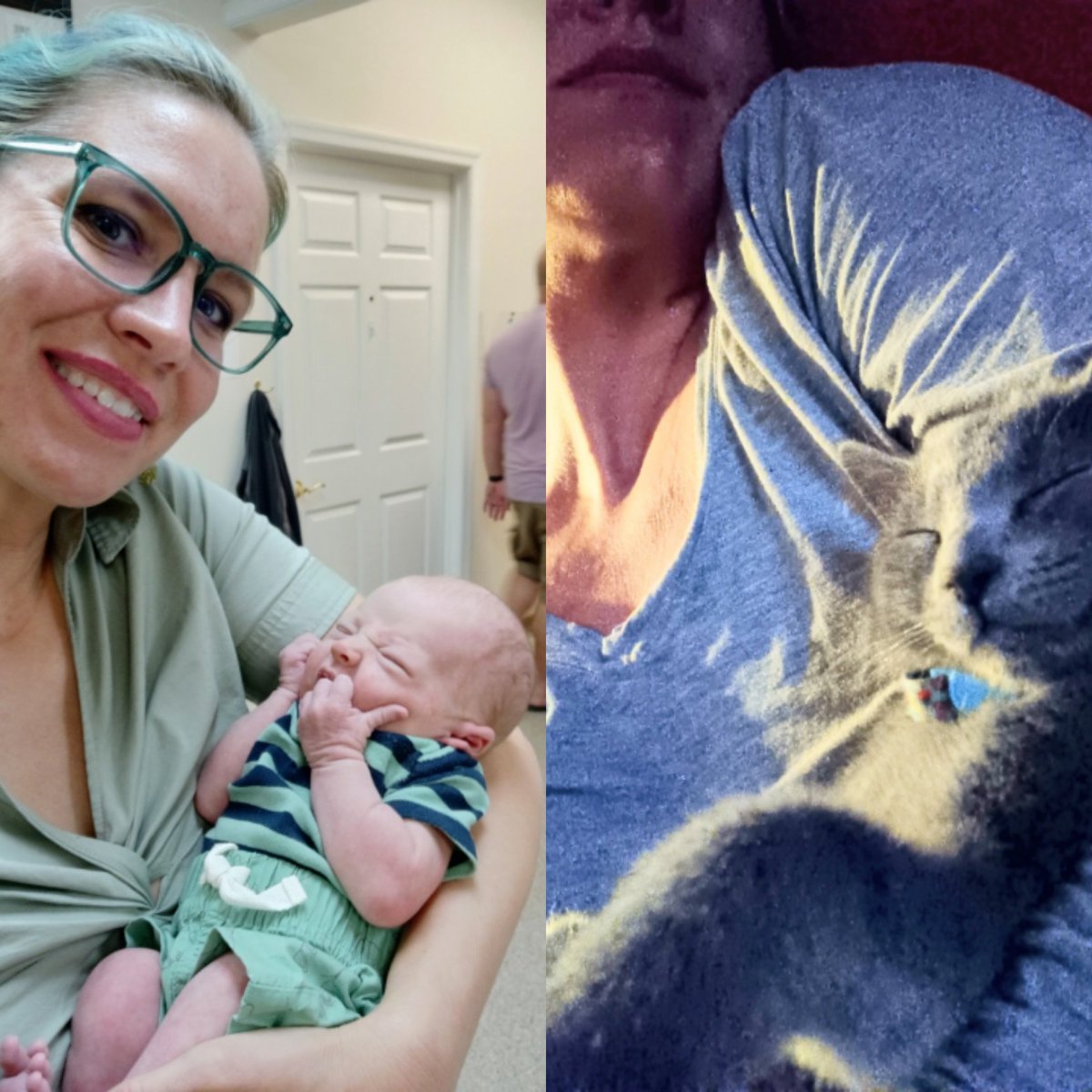 DrEmilyThomas's tweet photo. Getting my baby cuddles in!! #notmybaby #softbaby #squishybaby #newborn #whosechildisthis #whoworeitbetter #kitten https://t.co/2gLpjOlMr6