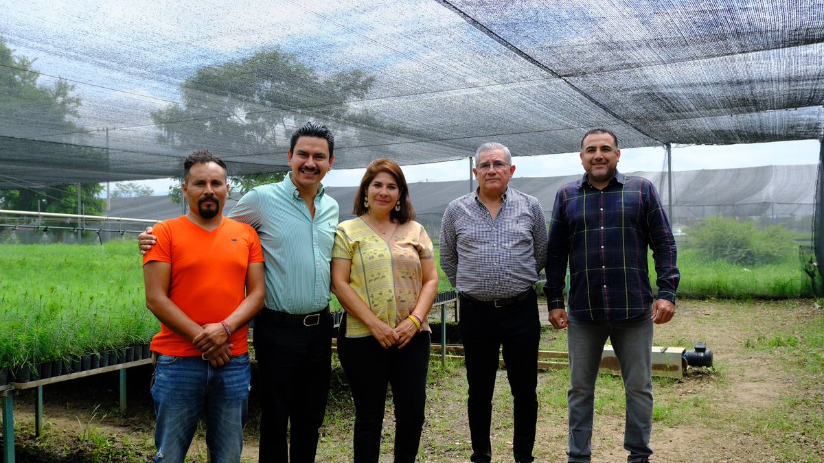 Noe Jara Cruz tweet media