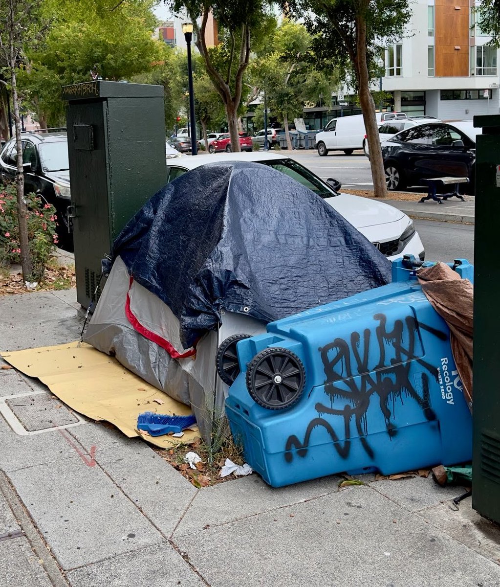 ...the epidemic continues
⛺️ on Octavia Street at Fell