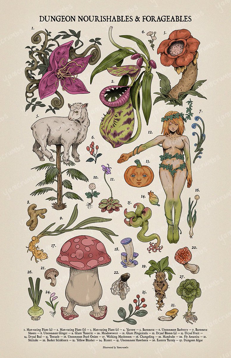 snail_soup's tweet photo. #dungeonmeshi botanical illustration poster, part 2 of the piece from yesterday! 🌳🍄🌿 https://t.co/qXlJgyPFmr