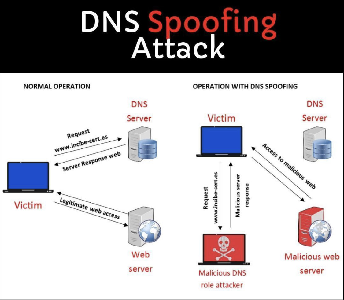 Security Trybe (@securitytrybe) on Twitter photo 
