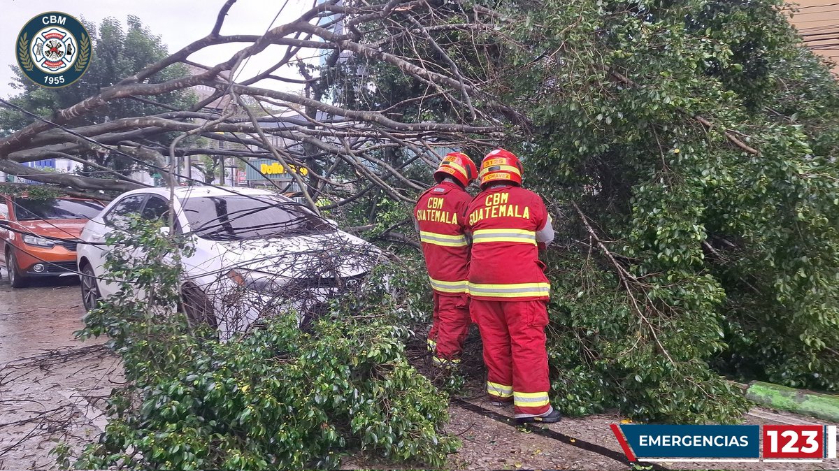 bomberosmuni's tweet photo. #EMERGENCIAS123|#ArbolCaido

🚨Árbol cae sobre 5 vehículos 🚨

Un árbol de grandes proporciones cae sobre 5 vehículos, @bomberosmuni en apoyo de limpia y verde de la @muniguate para remover árbol. Esto sucedió en la 6ta Avenida y 8va calle zona 9, ciudad https://t.co/lZVqvkXOE9
