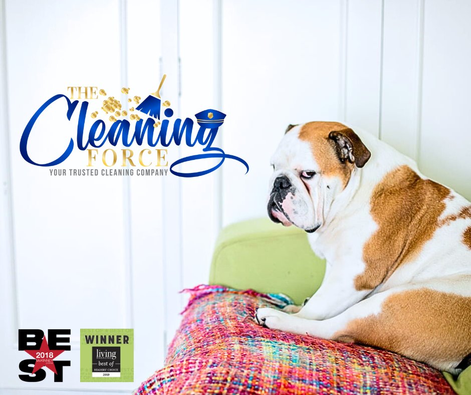 TheCleanForce tweet picture
