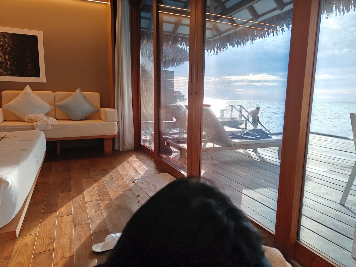 每当我躺平看风景