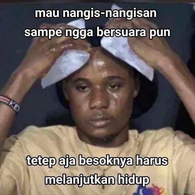 y𝙤𝙣𝙠𝙤𝙪 tweet media