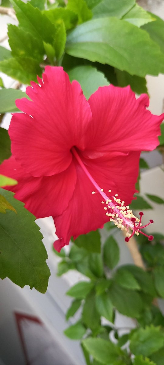 السلام و علیکم ورحمتہ اللہ وبرکاتہ! 
میرے مالک ہمیشہ ہمیں رزق کی کمی ماں باپ اور اولاد کی نافرمانی قرض سے مرض سے دکھوں غموں برے راستوں برے کاموں اور اپنوں کی دوری سے بچانا۔۔۔
 آمین ثمہ آمین یا رب العالمین 

صبح بخیر زندگی ❤