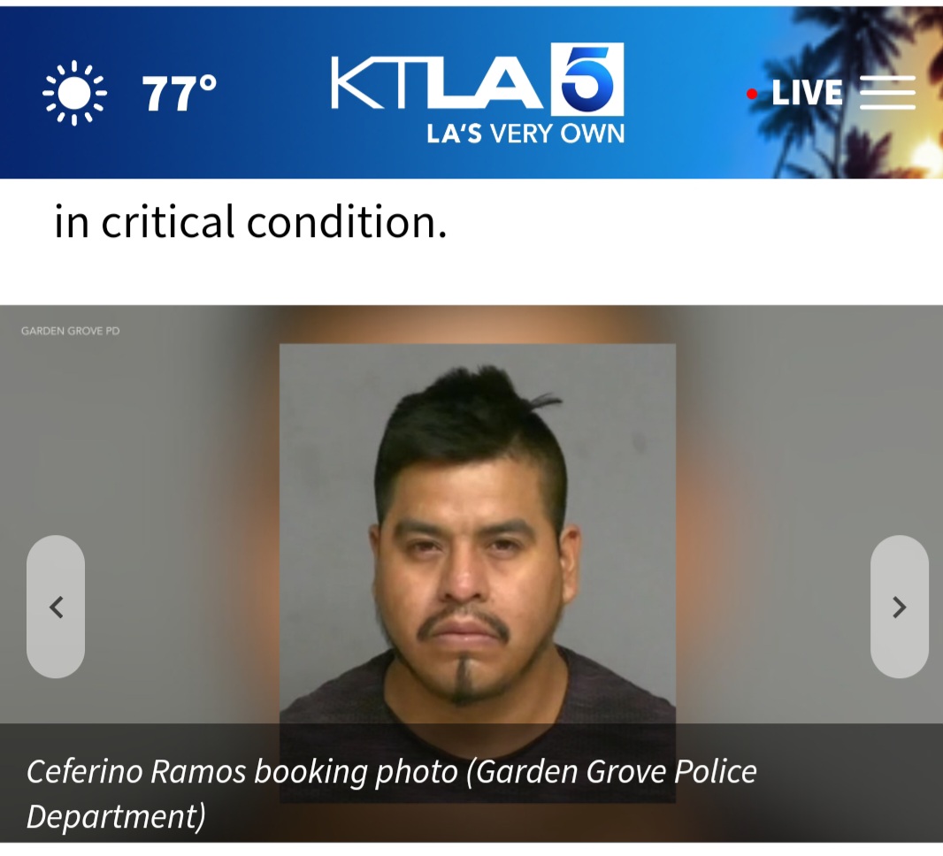 Mark Orme tweet media