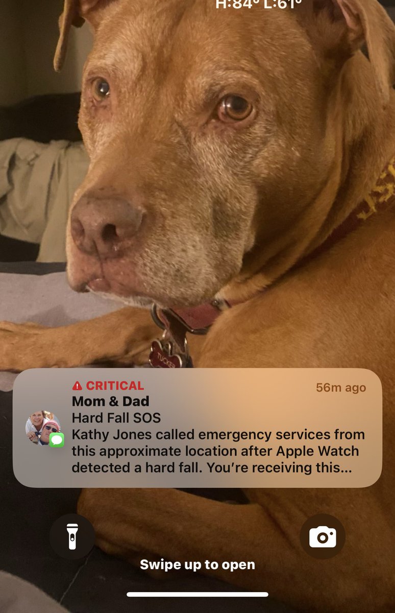 InNOutSean's tweet photo. Thank you @tim_cook and @Apple Watch. Helped our mom out when she was outside, fell and not near her phone. https://t.co/XyRIsRd5cz