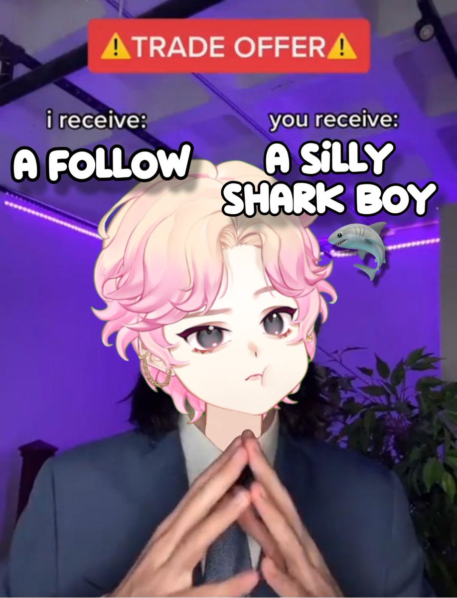 fin ⭐️🦈 tweet media