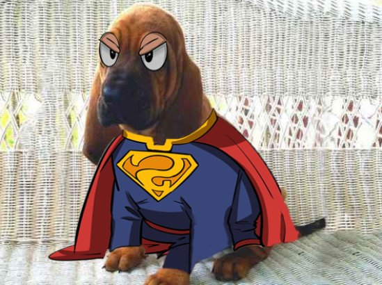 Pangke Solana tweet media