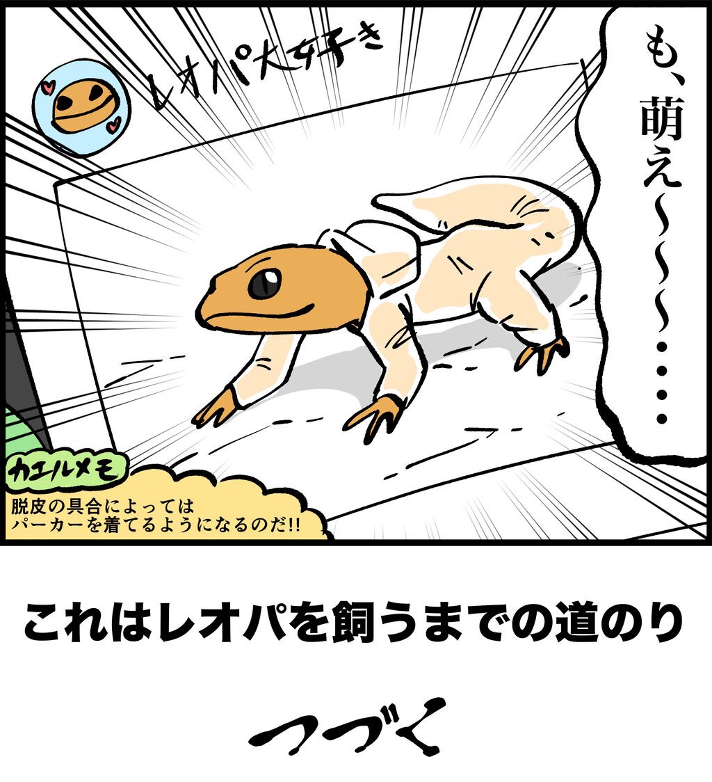 つづき