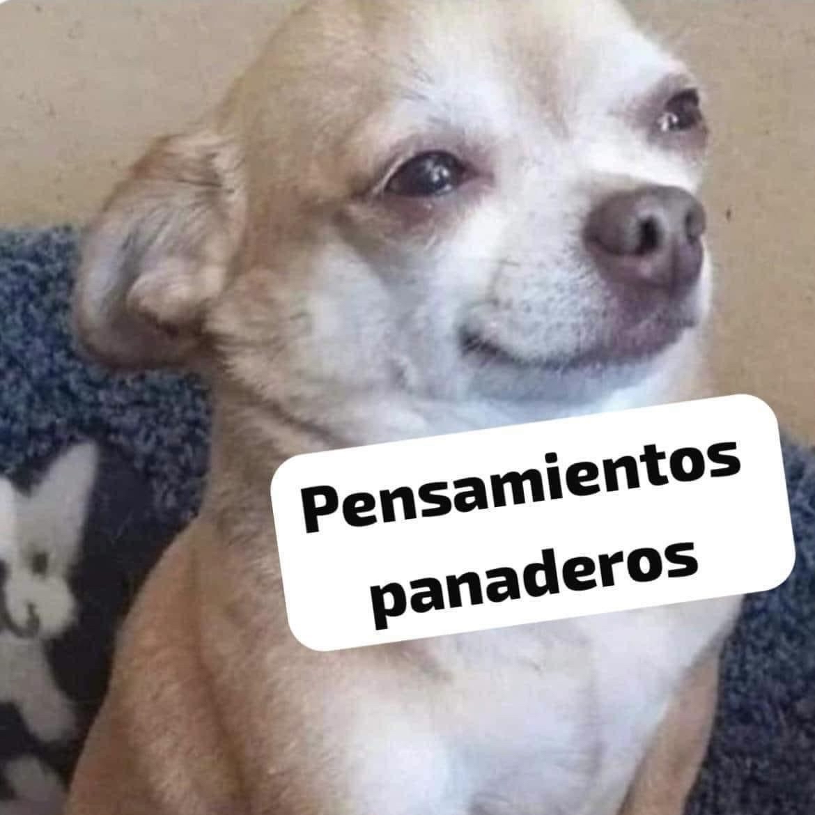 Guarromantico_'s tweet photo. *La ciudad nublada todo el día*

Yo: https://t.co/RQcH1UNXE8