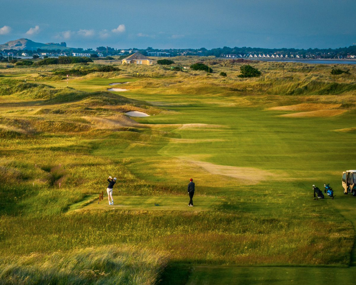 Royaldublin1's tweet photo. Summer colours in full swing🏌️‍♂️ 
.
.
.
.
#royaldublin #golf #irishgolf #linksgolf #classiclinks #lovegolf
#purelinks #greenkeepers #instagolf https://t.co/NUTbaiqylH