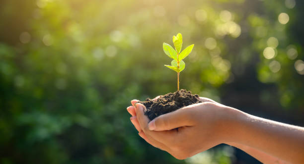 BioCleanerInc's tweet photo. BioCleaner, Inc. specializes in non-chemical, biological solutions for effective wastewater treatment. Protect your local ecosystem and improve your operational efficiency with our cutting-edge technologies. https://t.co/l63ZpdFOcV https://t.co/TcCj4976rg
