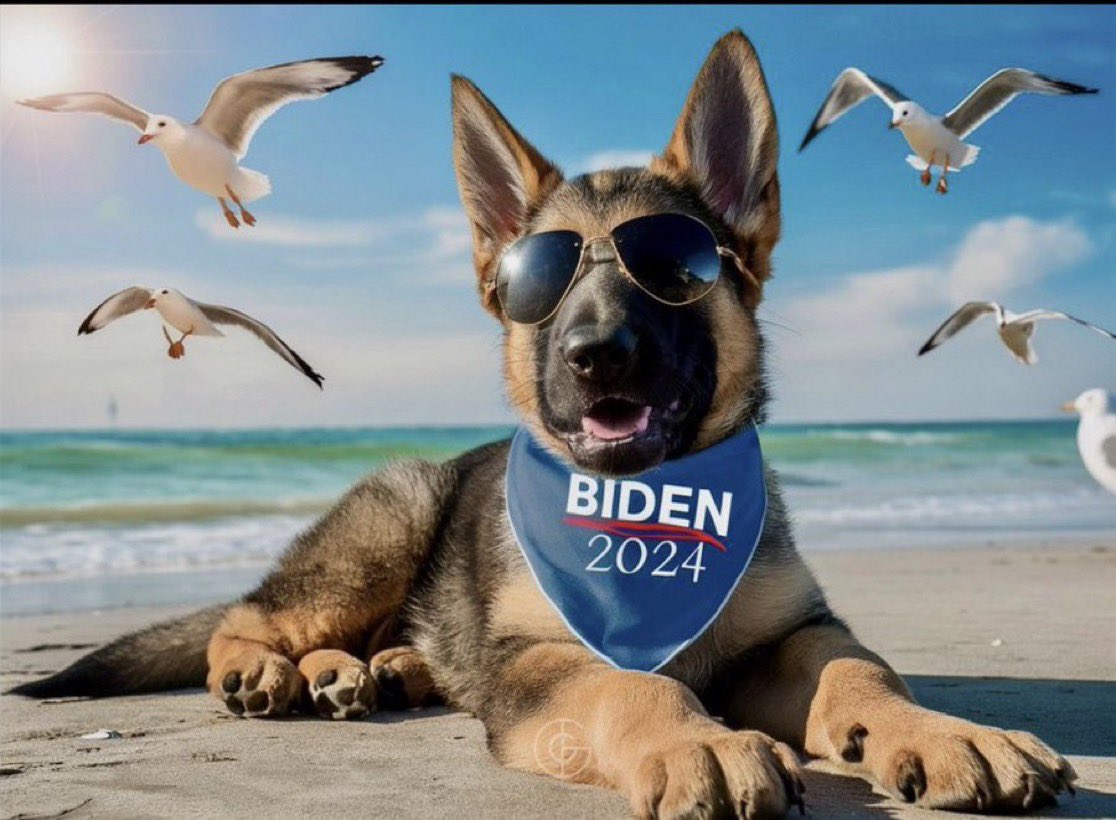 BlueStormComin1's tweet photo. #PetsForBiden πβπ¦ΊππΎ
Letβs see your pets no matter what they are! Memes work too!
Meet and greet! ππΎ
#DogsForBiden #CatsForBiden
#CatsAgainstTrump #VoteBlueToPreserveYourRights
Repost me! Please π https://t.co/Cf7ZwoqioX