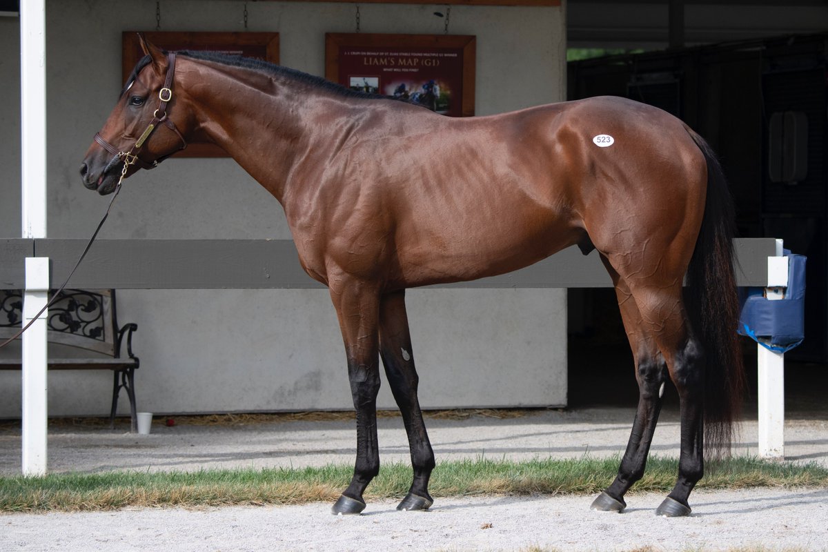 Taylor Made Farm (@taylormadesales) on Twitter photo INFORMED PATRIOT🌟🇺🇲, <a href="/FasigTiptonCo/">Fasig-Tipton</a> NEW recorder holder as the highest sold horse for the July HORA Sale. Congratulations to HRH Prince Saud Bin Salman Abdulaziz & Agent <a href="/barohm7/">X sex porn x ☂️☀</a>! A huge thanks to trainer Steve Asmussen and owners J Kirk & Judy Robison! #TaylorMadeSales INFORMED PATRIOT🌟🇺🇲, <a href="/FasigTiptonCo/">Fasig-Tipton</a> NEW recorder holder as the highest sold horse for the July HORA Sale. Congratulations to HRH Prince Saud Bin Salman Abdulaziz & Agent <a href="/barohm7/">X sex porn x ☂️☀</a>! A huge thanks to trainer Steve Asmussen and owners J Kirk & Judy Robison! #TaylorMadeSales