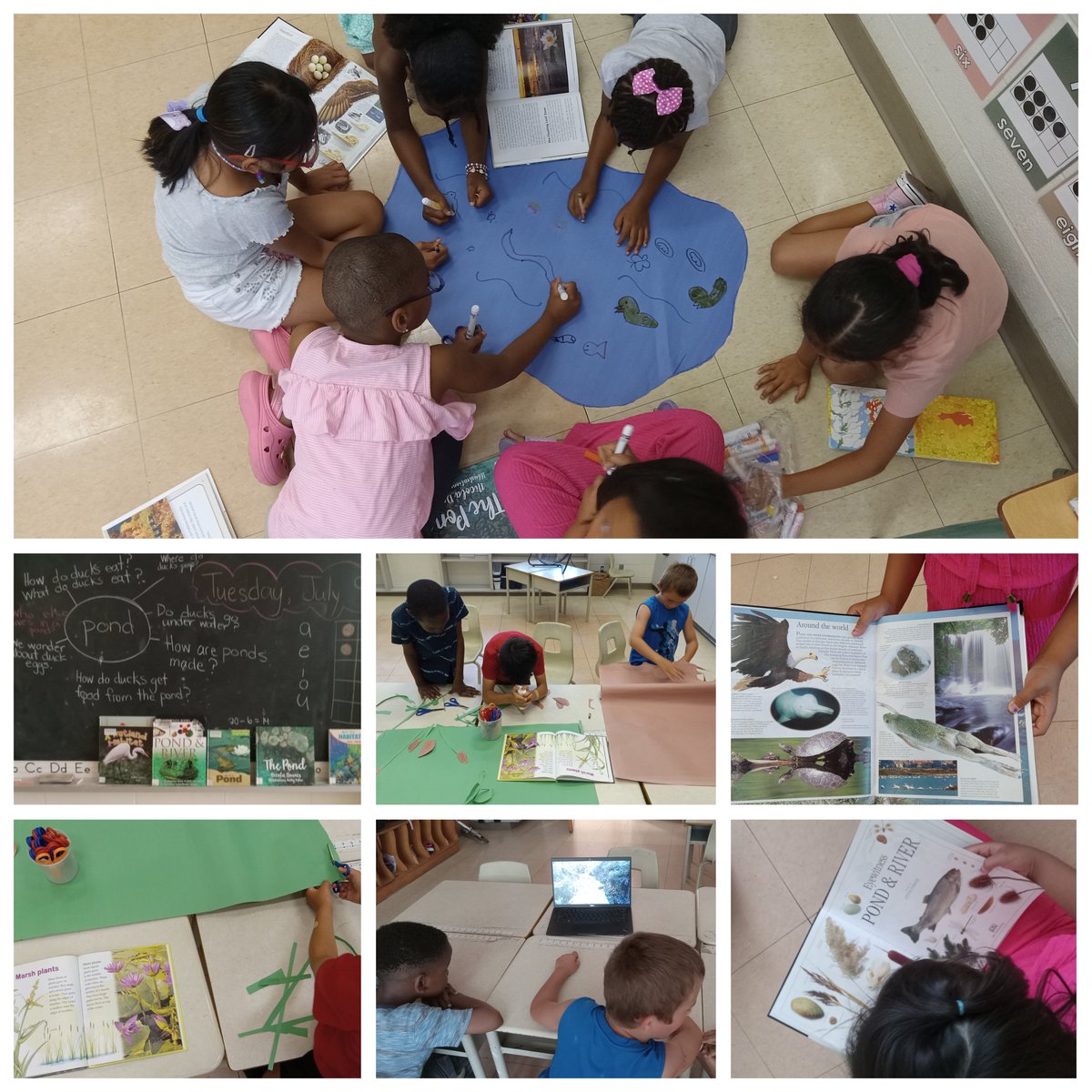 SelbieFuller's tweet photo. The Summer Ducks🐤 at St. Maria Goretti exploring life in wetland habitats through their pond inqury... and rolling 🎲 their way to 20 in math... Day 4 of Summer Learning! @TCDSBSummerLrn @KerrEteach @KristyannSo @rosemortillaro https://t.co/LEsnrGMD2X