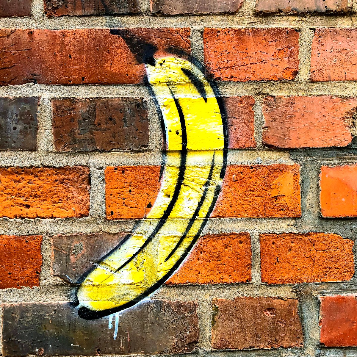 Sebastopol Arts tweet media