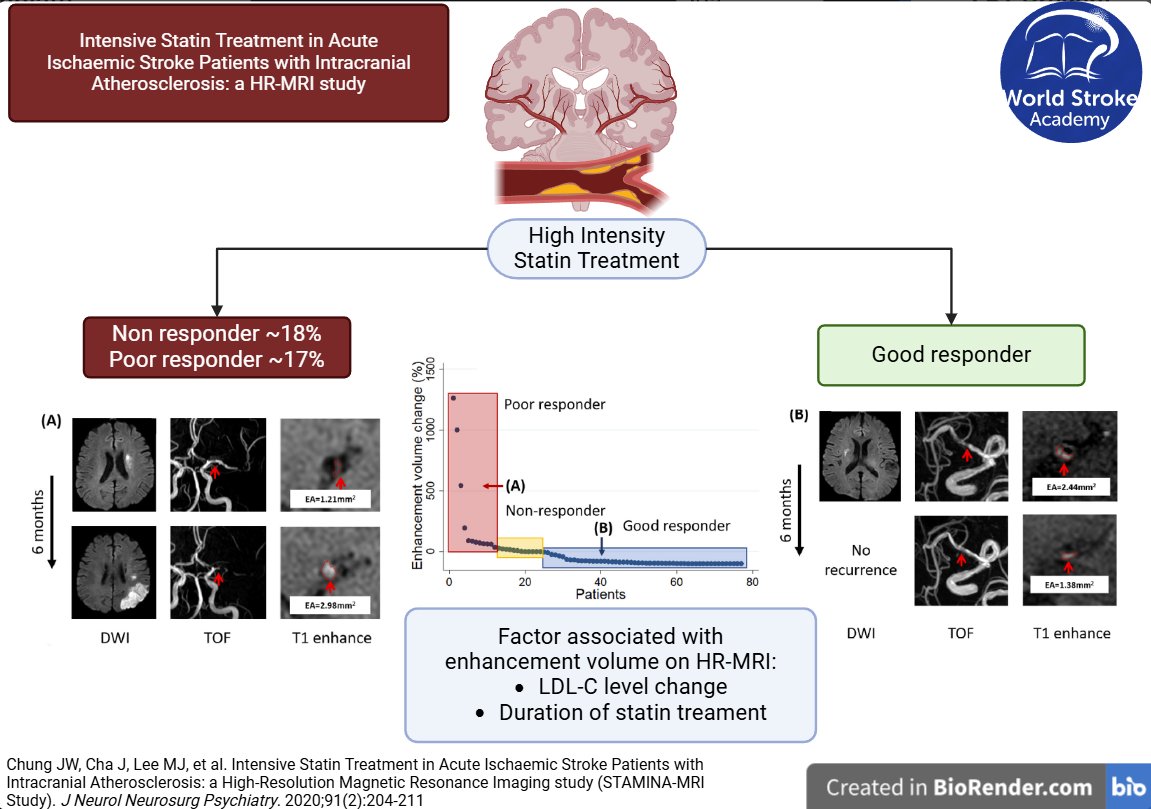 WorldStrokeEd's tweet photo. #MondayTip
#StaminaMRI study
💊High dose statin treatment effectively stabilized #sICAD on serial HR-MRI
☝️A significant % were non or poor responders
🎯Achieving a >50%📉in LDL-C🔗to👉good responders
https://t.co/F1Ye7TTyCG
🆕#PCSK9i could⏫this effect
https://t.co/zXRspLq3YR https://t.co/H8CplgwcjM