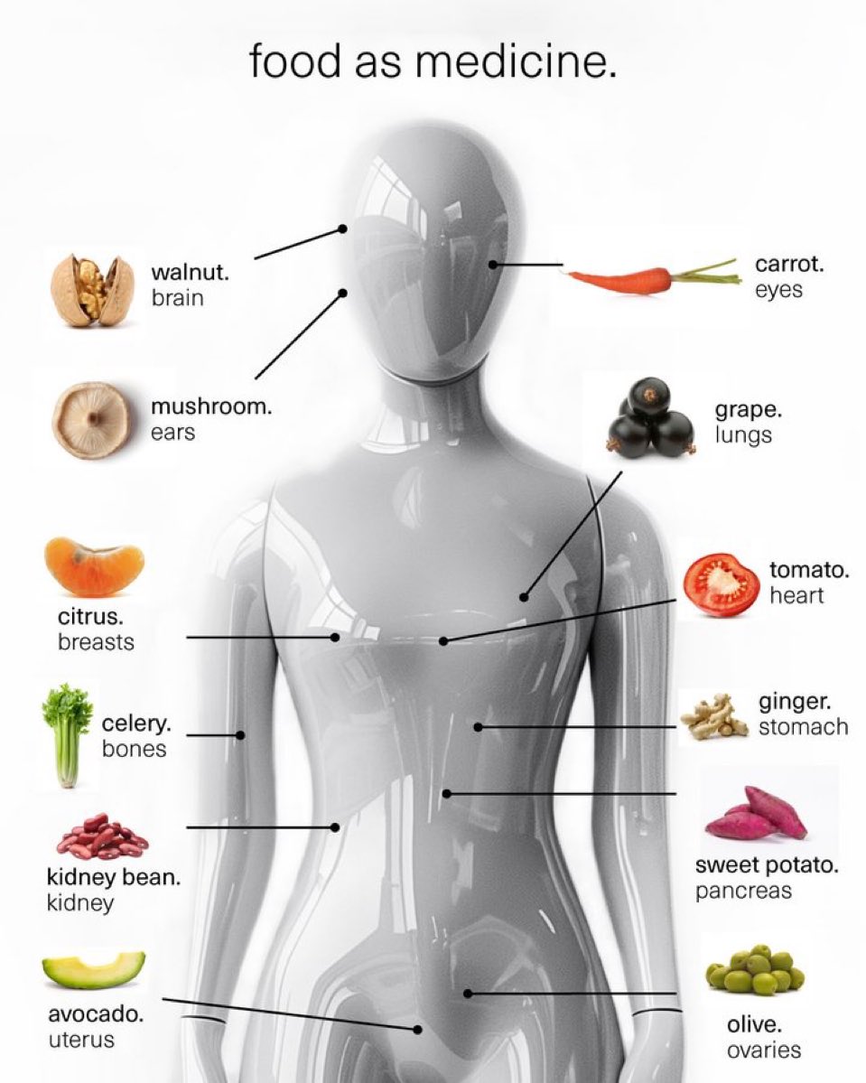 FredsFarm247's tweet photo. Food as Medicine https://t.co/9VE79u4lLv