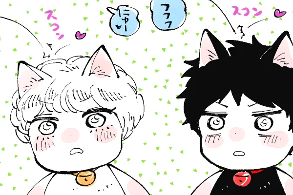 🐱キラキラにゃんこ生活
あてられるアキとキララ😂
さぁお昼はシースーです🍣 