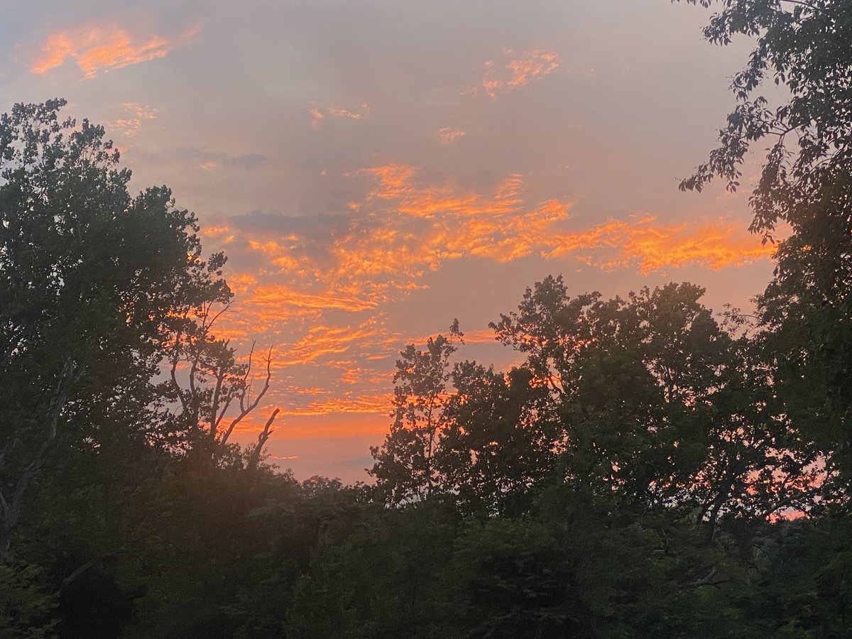 Rob40252565's tweet photo. Sunset and farm living nothing like it!! #sunset #village #gentlemansfarm #myplace #beautiful https://t.co/IeVoYWZA8b