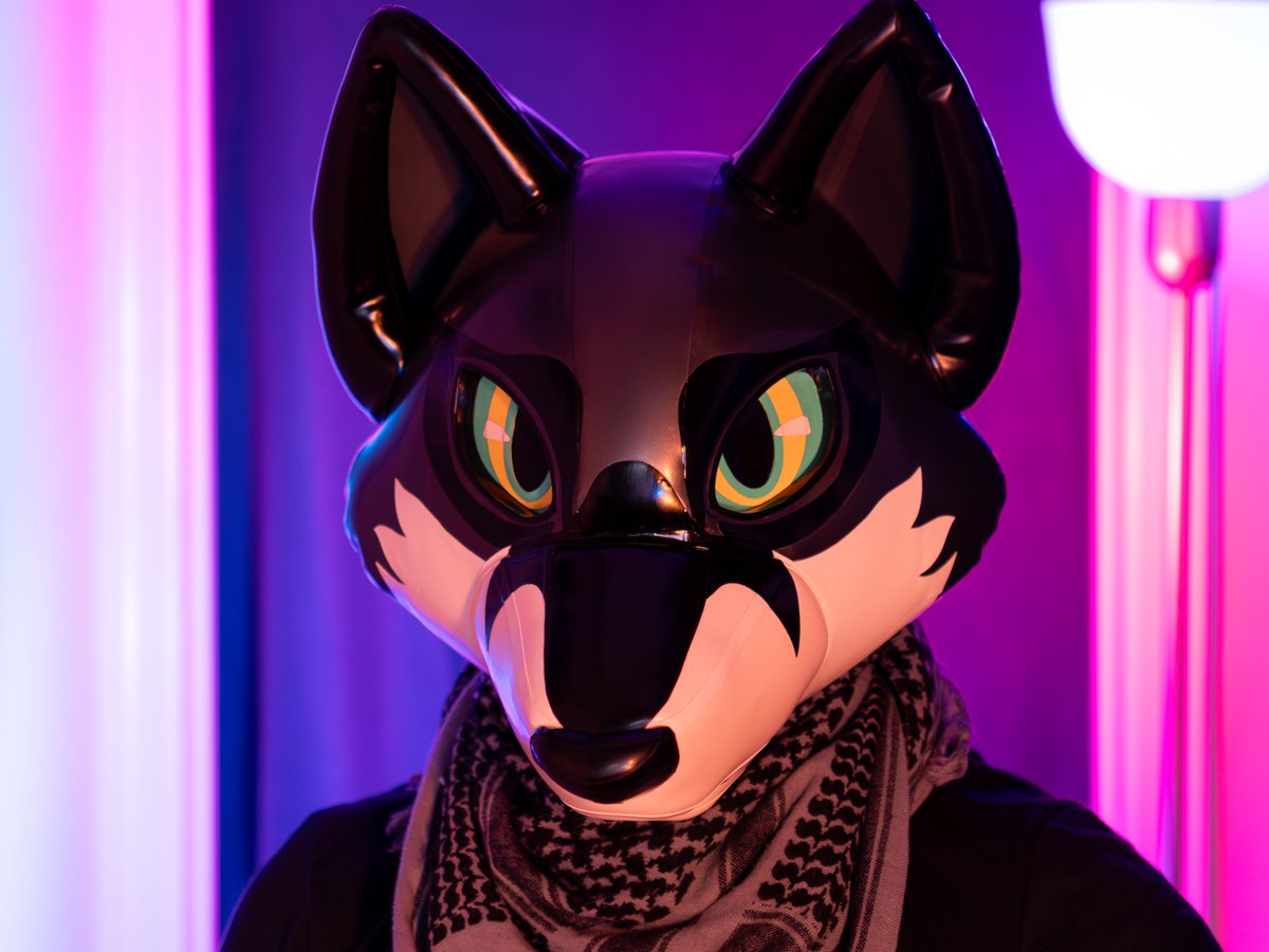 sockfox tweet picture