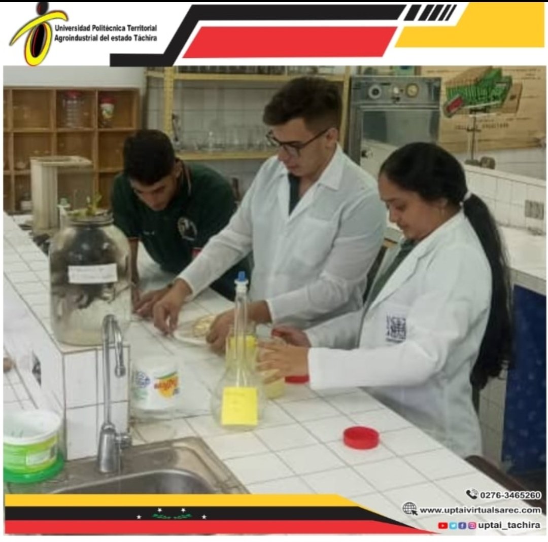 Estudiantes del PNF Agroalimentación 
 logran crear una madre de Hongo 🍄 micelio pleourotus ostreatus

Seguimos avanzando en la formación de profesionales 
UPTAIET tu mejor opción académica 

<a href="/sandraoblitasr/">Sandra Oblitas Ruzza</a> 
<a href="/mppeu_ve/">MPPEU_Ve</a> 
<a href="/nicolasmaduro/">Nicolás Maduro</a> 
@freddybernalven