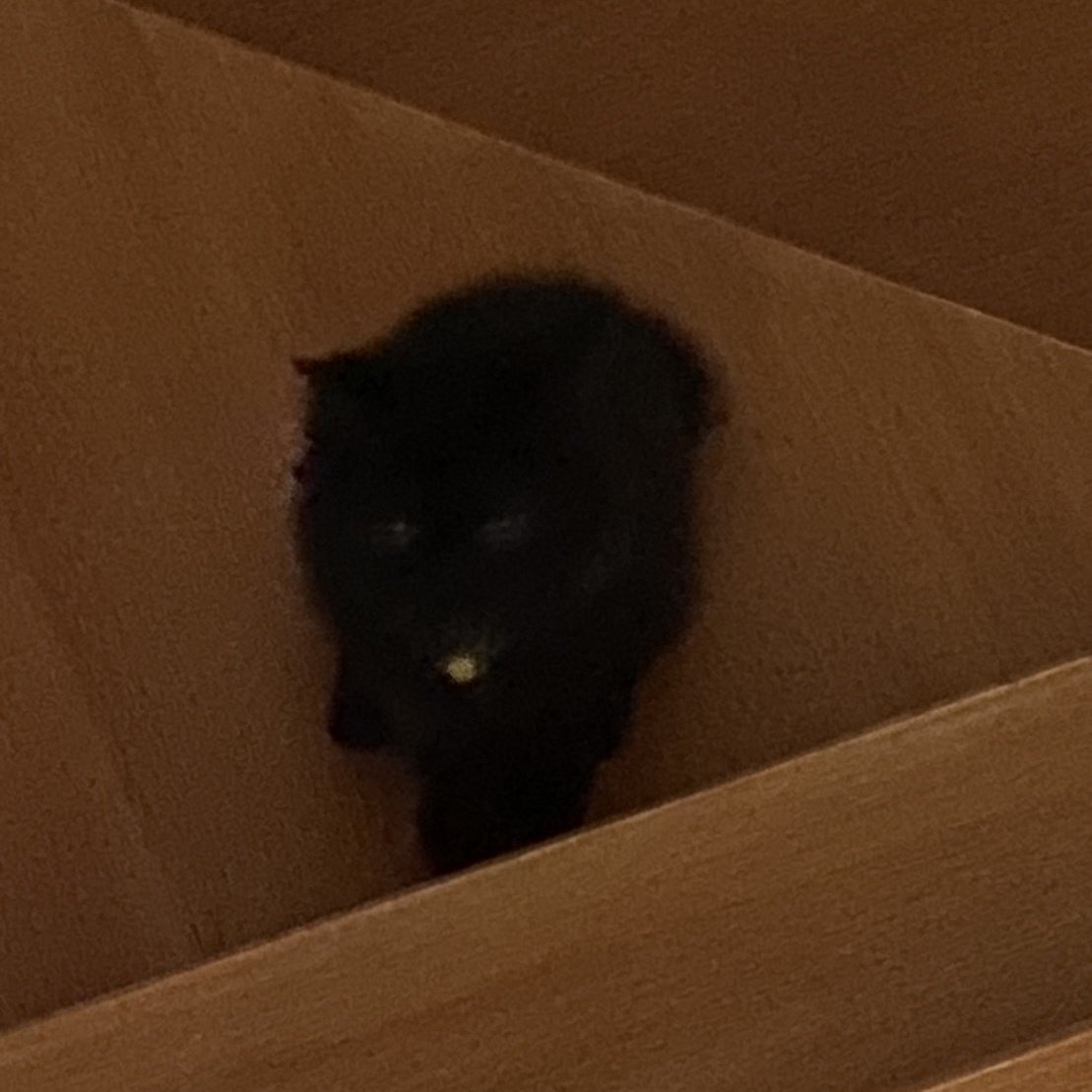 cusrak's tweet image. 