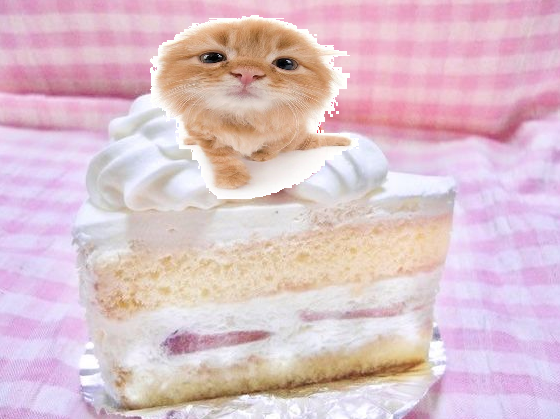 catberry shortcake