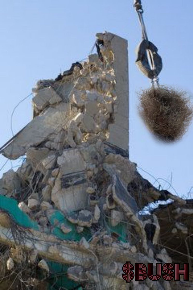 Bush On Solana tweet media