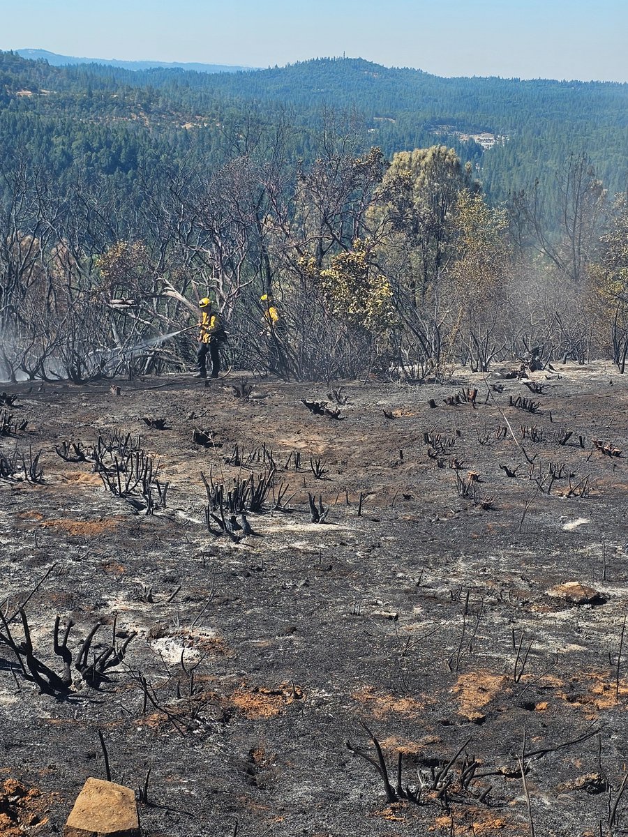 CALFIREAEU's tweet photo. #PayFire Update (7/8 β 5:40 pm): 77 acres; 50% contained. Evacuation warnings have been reduced to βsafe to re-enter.β Mop up continues as engine crews are using hose lines placed during the initial attack to fully extinguish hotspots within the fireβs perimeter. https://t.co/bOso1ILdYO