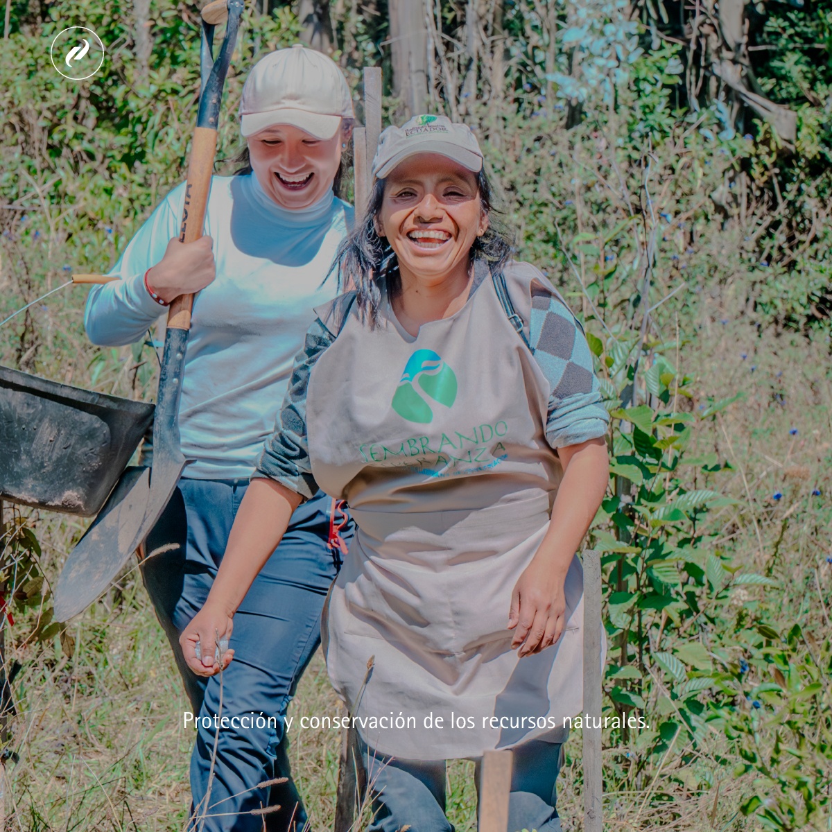 🌱 En #MetropolitanTouringAgenciadeViajes estamos orgullosos de avanzar hacia un futuro más verde con la certificación #ISO14001. Esta norma nos ayudará a reducir nuestro impacto ambiental y a promover prácticas sostenibles en nuestras operaciones. ¡Juntos cuidamos el planeta!