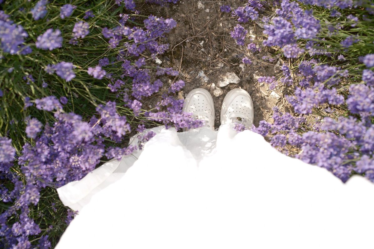 xkayacan's tweet photo. Visit to Castle Farm
Let the scent of lavender carry you away🕊🌿🪻🥂 https://t.co/fZtO6MAzO7