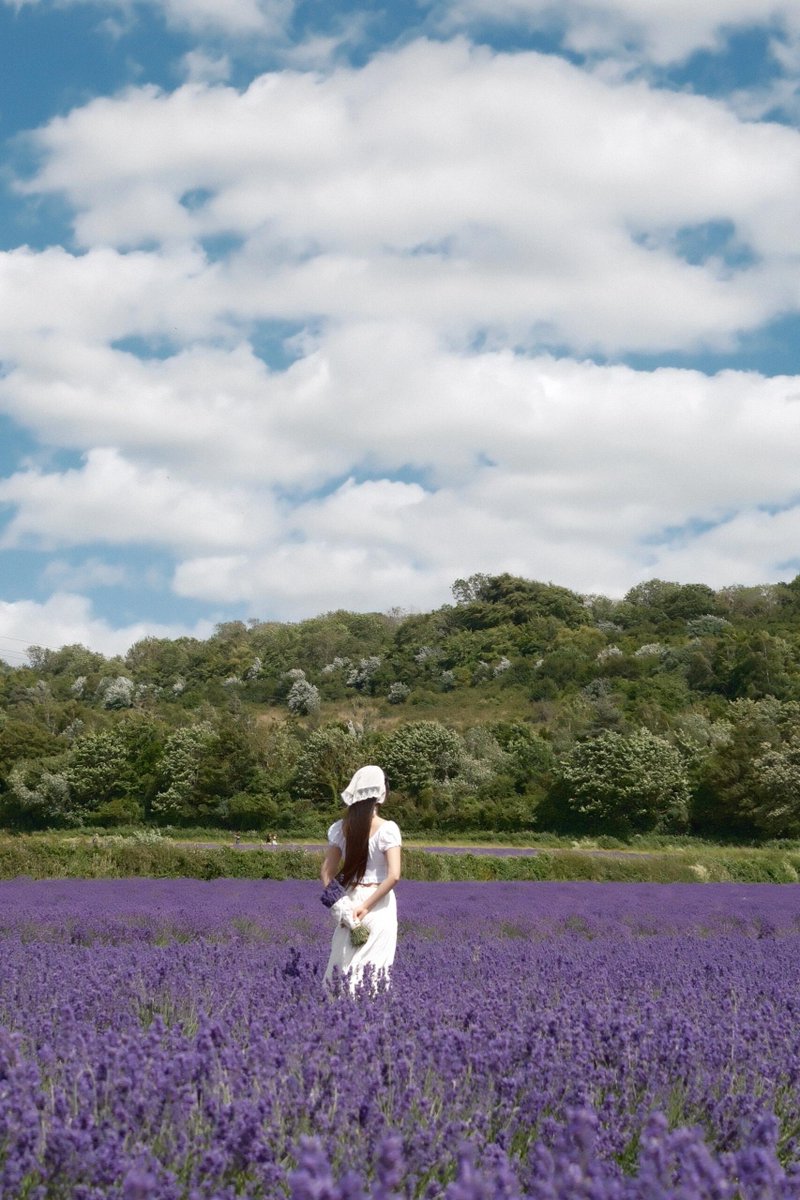 xkayacan's tweet photo. Visit to Castle Farm
Let the scent of lavender carry you away🕊🌿🪻🥂 https://t.co/fZtO6MAzO7