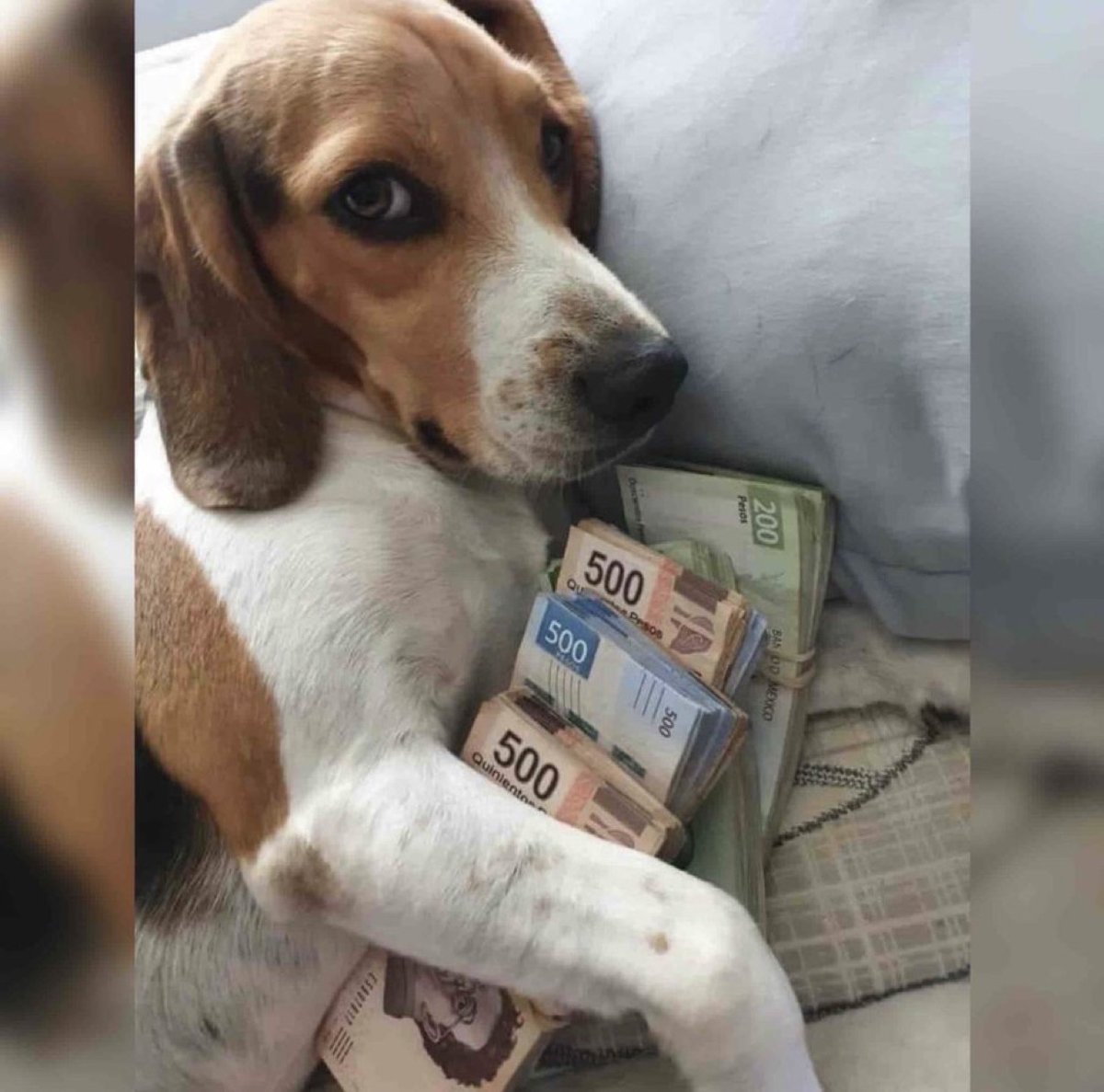 — ¿Y qué necesitas para ser feliz?

Yo:
