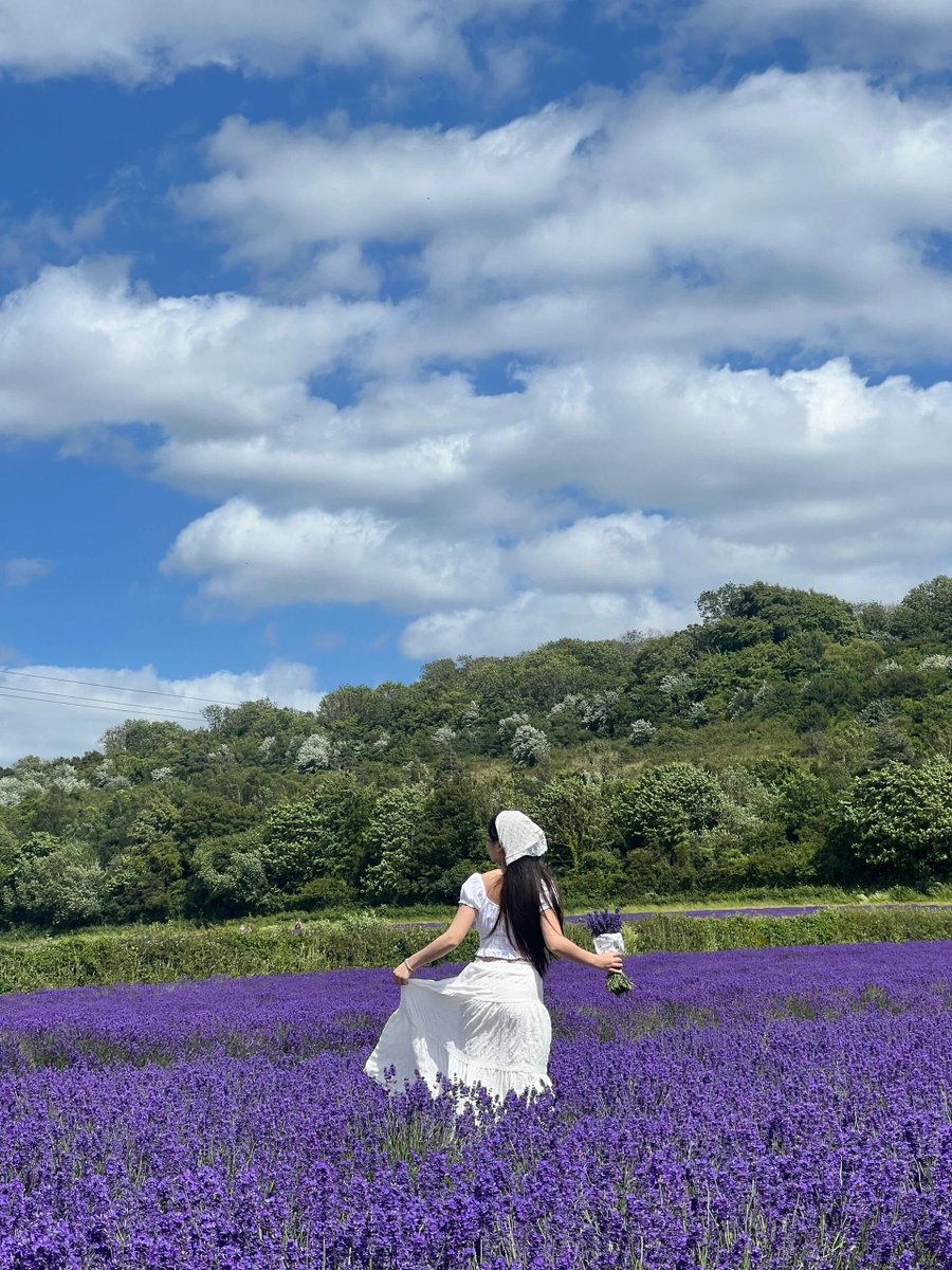 Visit to Castle Farm
Let the scent of lavender carry you away🕊🌿🪻🥂