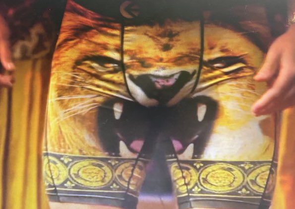 BachelorBob_'s tweet photo. I simply cannot believe that the dude wearing lion undies is the one who randomly drew the “streak around the mansion” date card. 
  
#TheBachelorette https://t.co/rk1byBMgyj