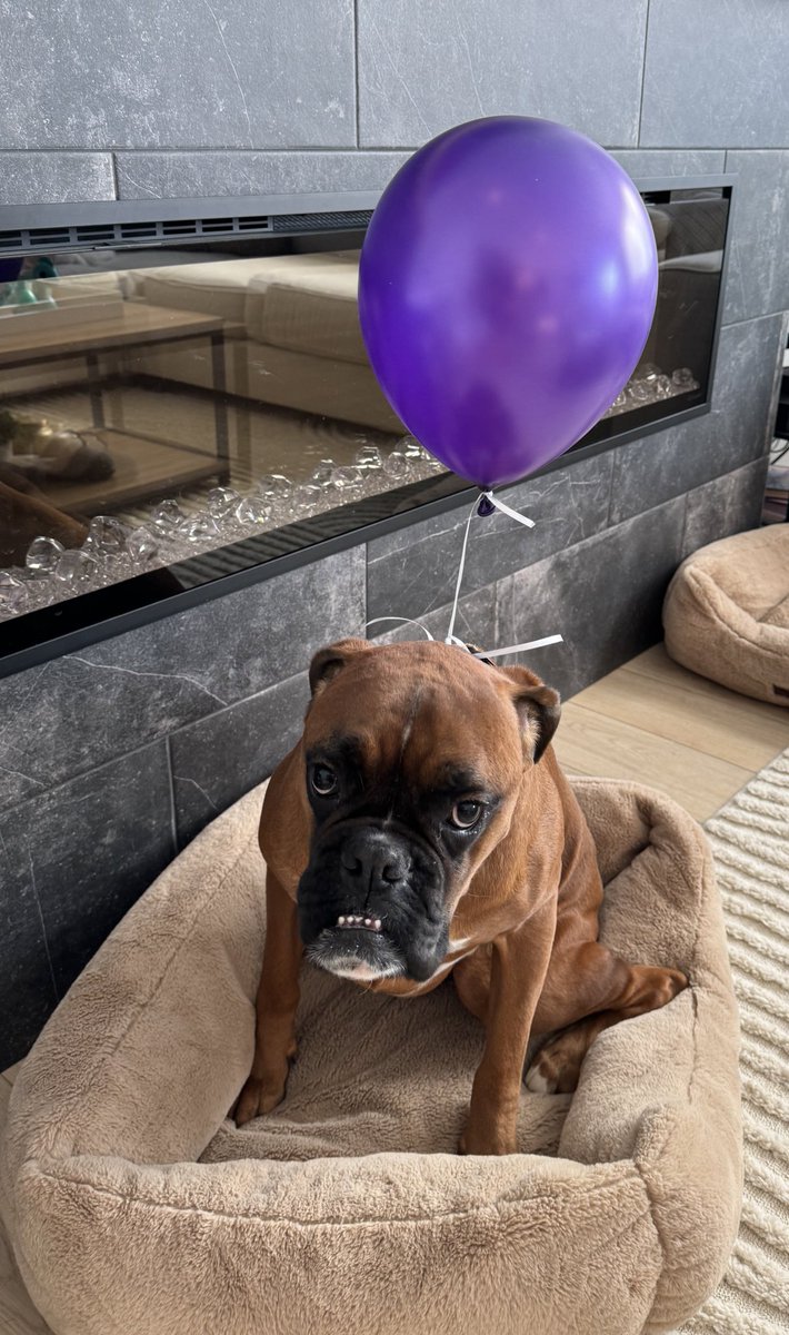 brando (daddy) tweet media