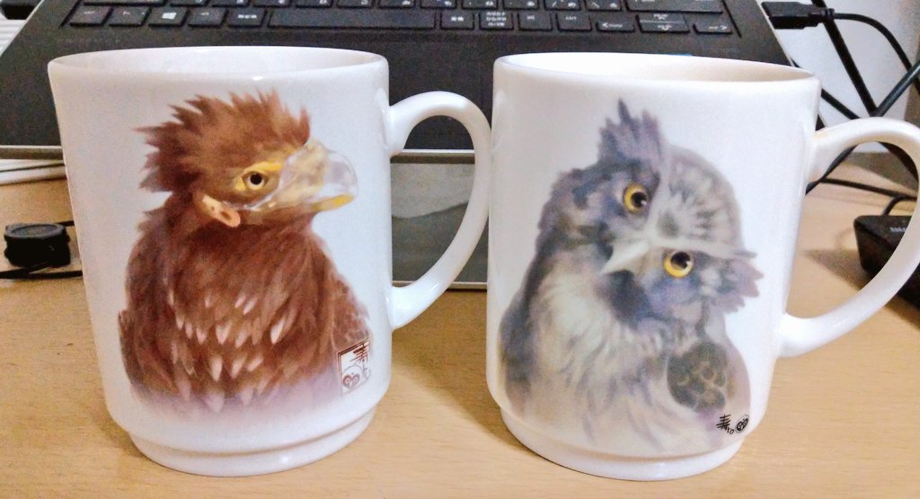kan_na_'s tweet photo. 猛禽類医学研究所さんからのリターンのお品が届いたよー！
左のマグカップ！
右は2020年7月に購入したマグカップ！
どちらも寿トロさんがお描きになってます(*´˘`*)♡ https://t.co/DWKle9v3rQ