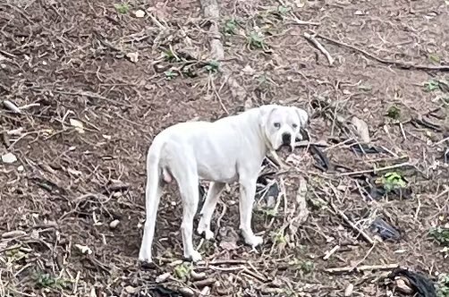 twinmobilecutz's tweet image. #DUECE #GHOST
 #TEAMUMS