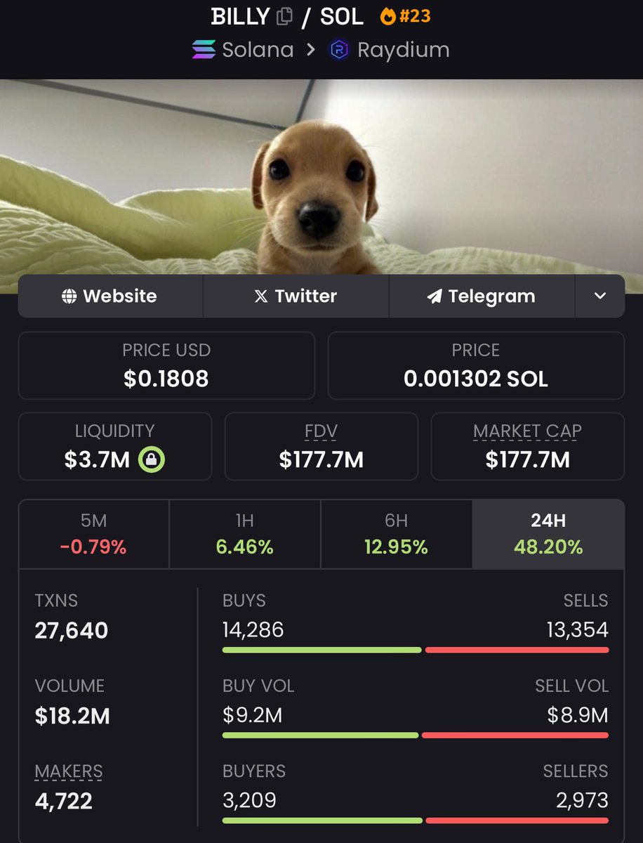 Billy is now $177m market cap 

A clean 200x 🔥🫡