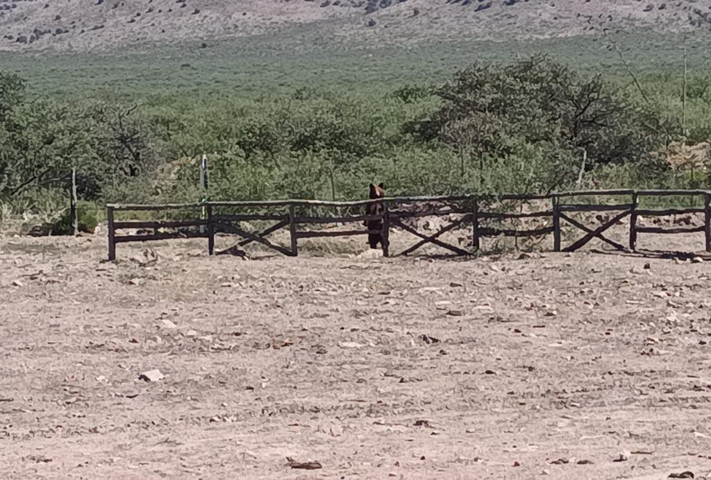 Vino el vecino a pedir un vaso de agua, que por qué esta haciendo mucho calor.